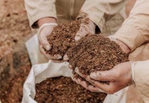 cementerio de animales, cementerio de mascotas, eutanasia en perros, funerarias para mascotas, cremacion de mascotas, funeral pet, capillas de la fe mascotas, servicios funerarios para mascotas, funeraria de mascotas, tierra de mascotas, cremacion de mascotas gratis, cremapets, cremacion de mascotas cali, funeraria mascotas, eutanasia en perros precio, cementerio funeravet, inyeccion para sacrificar perro, eutanasia para perros, funeraria para perro, funeraria para perros, cementerio para mascotas, funeraria la fe mascotas, precio de la eutanasia para perros en colombia, servicios funerarios para mascotas precios.