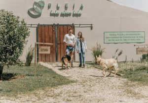 cementerio de animales, cementerio de mascotas, eutanasia en perros, funerarias para mascotas, cremacion de mascotas, funeral pet, capillas de la fe mascotas, servicios funerarios para mascotas, funeraria de mascotas, tierra de mascotas, cremacion de mascotas gratis, cremapets, cremacion de mascotas cali, funeraria mascotas, eutanasia en perros precio, cementerio funeravet, inyeccion para sacrificar perro, eutanasia para perros, funeraria para perro, funeraria para perros, cementerio para mascotas, funeraria la fe mascotas, precio de la eutanasia para perros en colombia, servicios funerarios para mascotas precios.