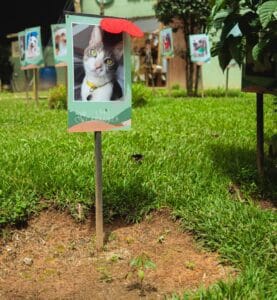 Jardín memorial para mascotas con árboles y placas conmemorativas