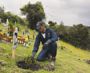 Cremación de Mascotas