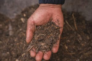 rituales para despedir una mascota